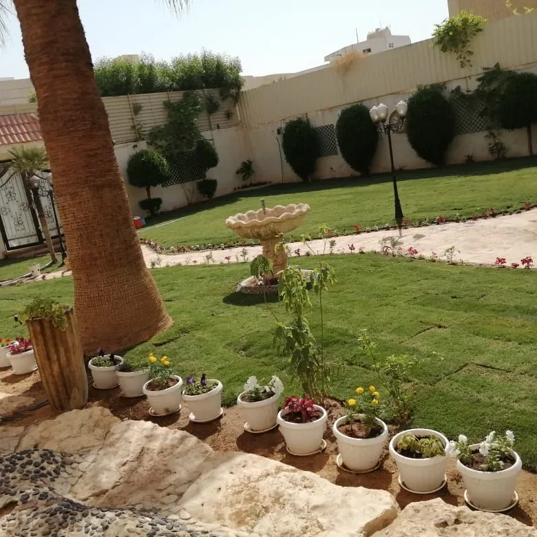 منسق حدائق بجدة