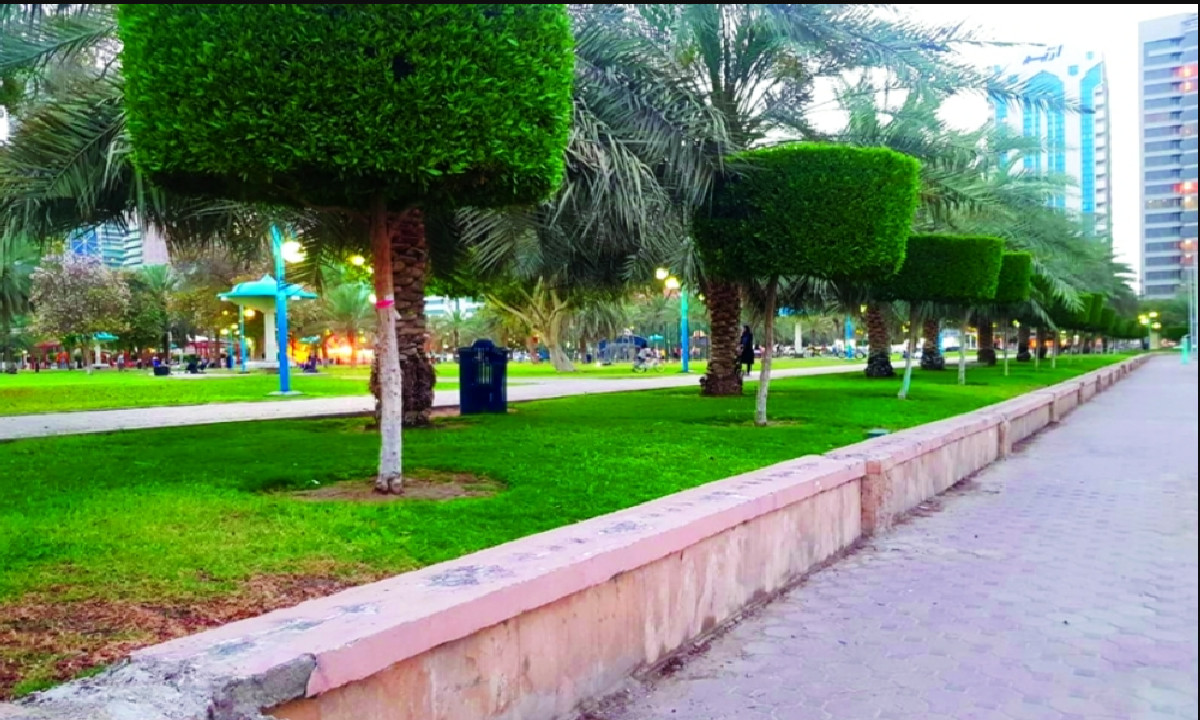 تنسيق حدائق عامة