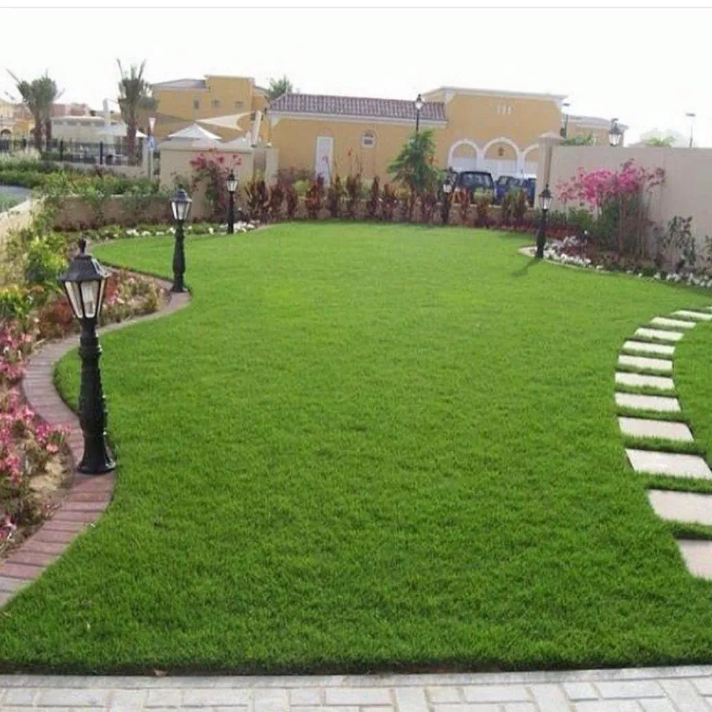 شركة تنسيق حدائق بمكة 