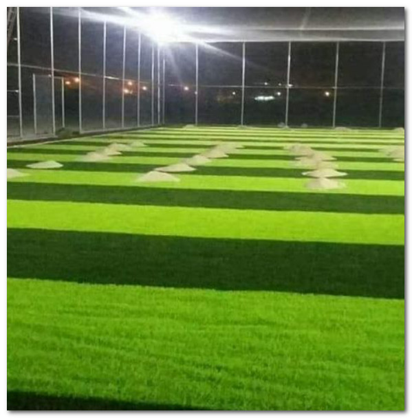 شركه انشاء وتصميم الملاعب بجدة