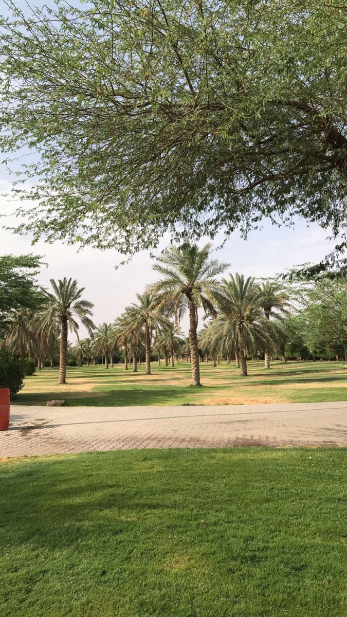 عامل قص اشجار بالدمام