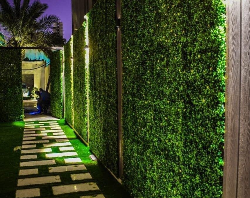تركيب عشب جداري بالجبيل للايجار 01025284450