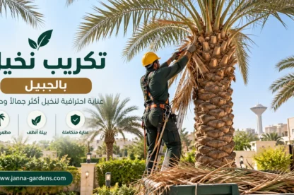 تكريب نخيل بالجبيل