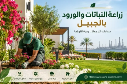 زراعة النباتات والورود بالجبيل