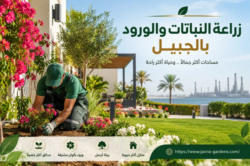 زراعة النباتات والورود بالجبيل