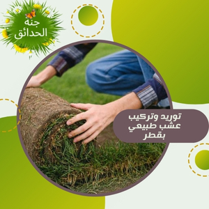 توريد وتركيب عشب طبيعي بقطر +97430113678
