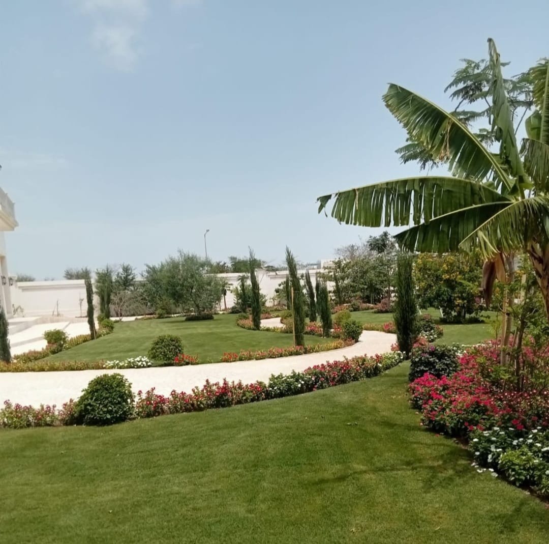 شركة تنسيق حدائق بقطر