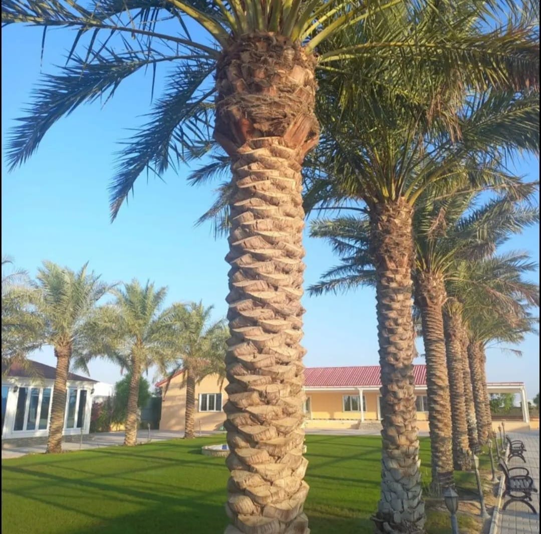 شركة تنسيق حدائق بقطر
