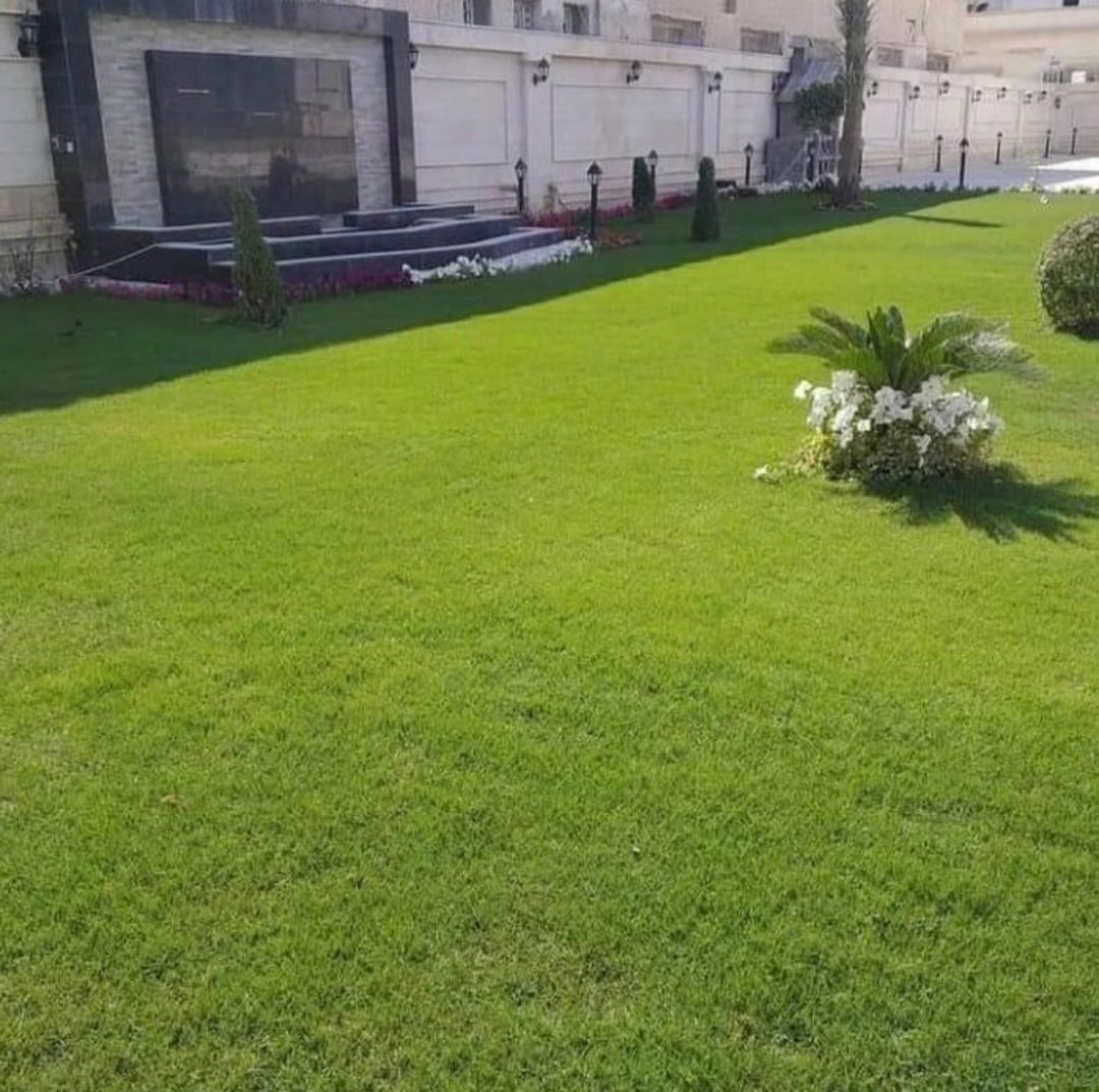 شركة تنسيق حدائق بقطر