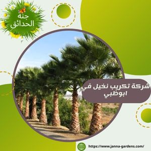 شركة تكريب نخيل في ابوظبي 0525440976