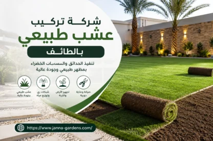 شركة تركيب عشب طبيعي بالطائف 0534061605