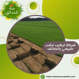 شركة تركيب عشب طبيعي بالطائف 0569715335‬‏  المهندس محمد رضا