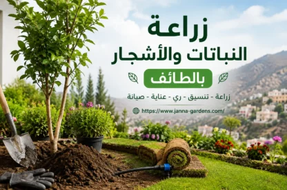 زراعة النباتات والاشجار بالطائف 0534061605